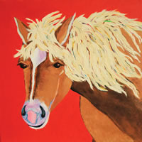 Orabella Haflinger